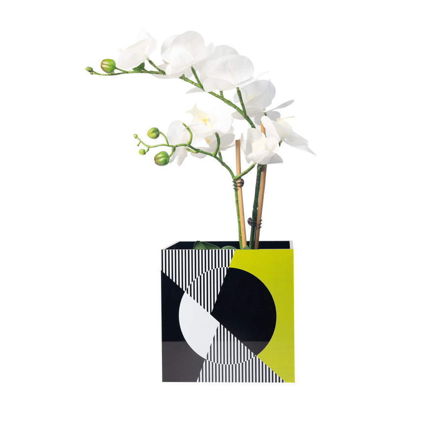 Single Orchid Holder - Black, White and Yellow Kinetic