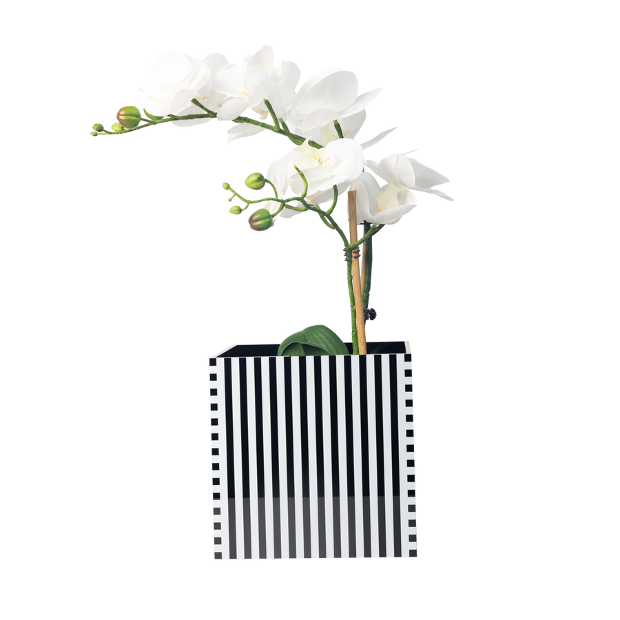 Single Orchid Holder - Black and White Pattern