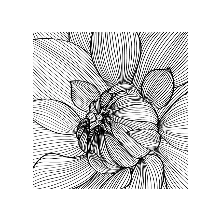Tea Box | BW Realistic Flower White
