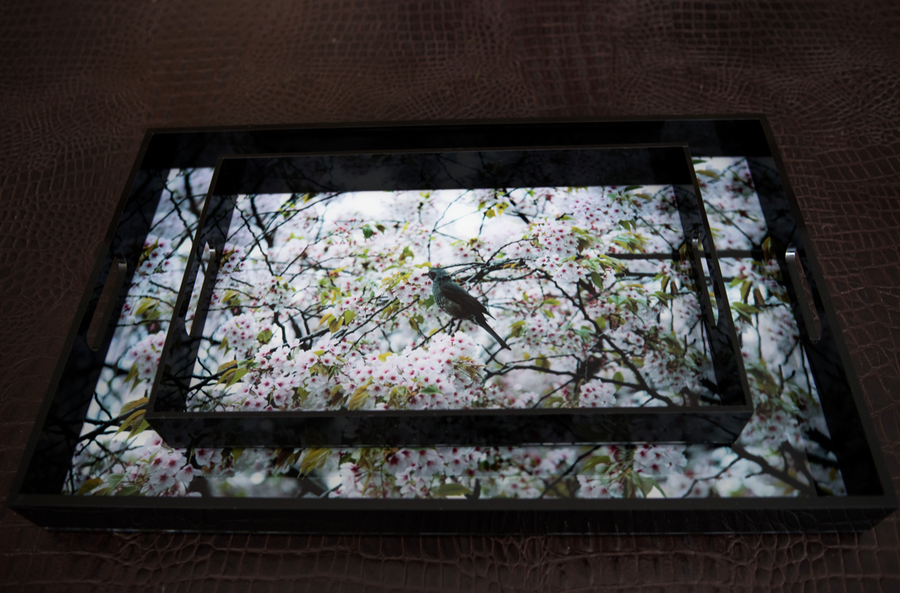 Small Tray | Bird and Blossoms