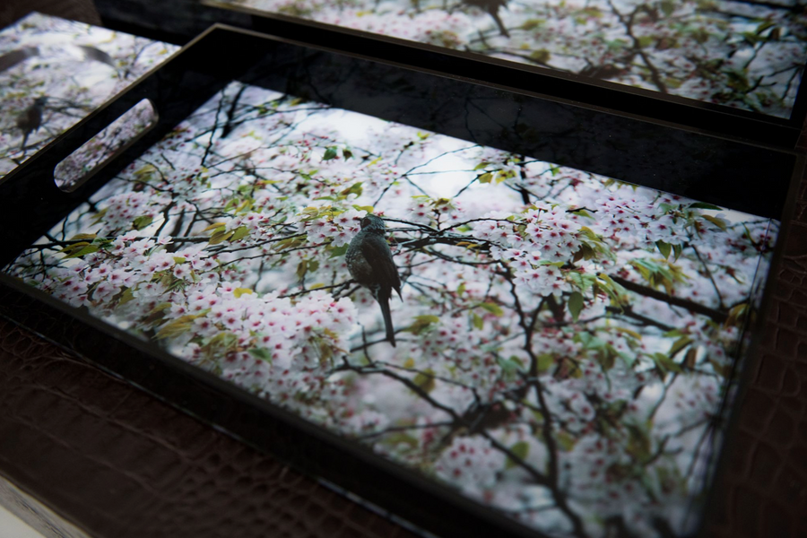 Small Tray | Bird and Blossoms